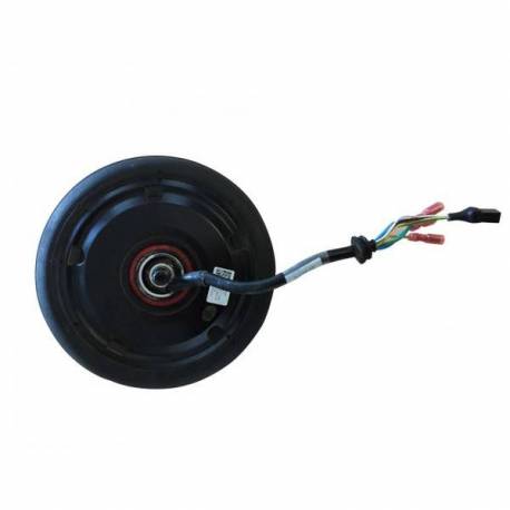 Moteur et Pneu arrière Citibug 2S