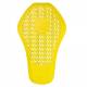 Dorsal Knox only 114 - AllShot