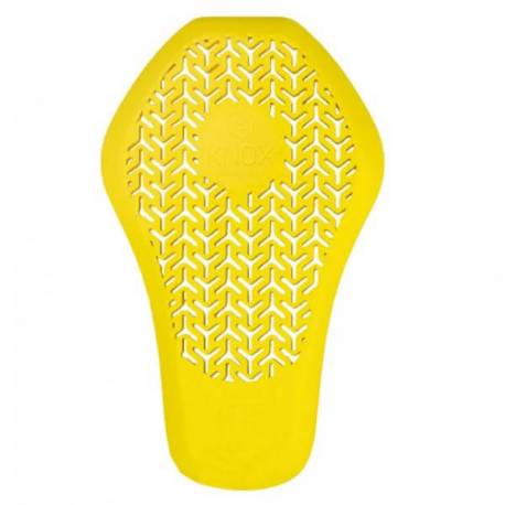 Dorsal Knox only 114 - AllShot